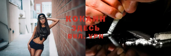 ПСИЛОЦИБИНОВЫЕ ГРИБЫ Волосово