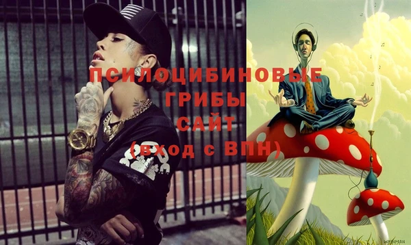 ПСИЛОЦИБИНОВЫЕ ГРИБЫ Волосово