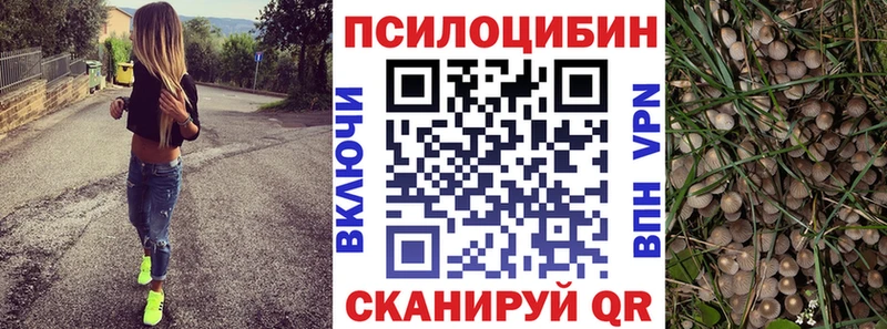 Галлюциногенные грибы мухоморы  блэк спрут   Юхнов 